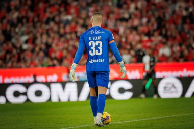 Portekiz Ligi maçında Ricardo Velho SL Benfica ve SC Farense arasında Estadio Da Luz, Lizbon, Portekiz 'de oynanan 23 / 24' lük maçta. (Maciej Rogowski)