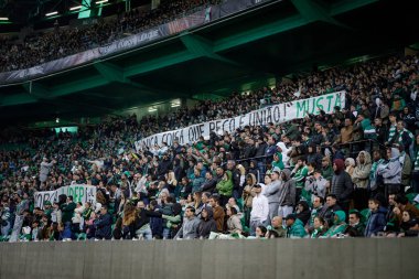 UEFA Avrupa Ligi 'nde Sporting taraftarları, Estadio Jose Alvalade, Lizbon, Portekiz' deki Sporting CP ve BSC Young Boys arasında oynanan 23 / 24 maçında. (Maciej Rogowski)