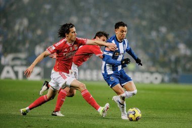 Alvaro Carreras, Portekiz Liga maçında Porto FC ile Portekiz 'in Estadio Do Dragao şehrinde oynayan SL Benfica arasında Pepe. (Maciej Rogowski)