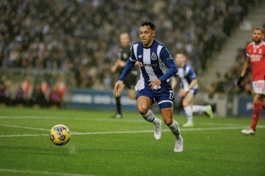 Portekiz 'in Porto şehrinde Estadio Do Dragao' da FC Porto ile SL Benfica arasında oynanan Liga Portekiz maçı sırasında Pepe. (Maciej Rogowski)