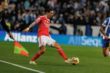 Portekiz 'deki Estadio Do Dragao' da FC Porto ve SL Benfica arasında oynanan Liga Portekiz maçı sırasında Angel Di Maria. (Maciej Rogowski)