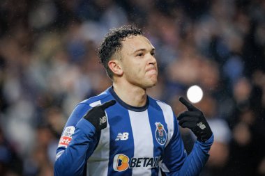 Pepe, Portekiz 'in Porto kenti Estadio Do Dragao' da FC Porto ile SL Benfica arasında oynanan maçta attığı 23 / 24 'lük golü kutluyor. (Maciej Rogowski)