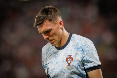 Portekiz ve İsveç milli takımları Estadio Dom Afonso Henriques, Guimaraes, Portekiz arasında oynanan uluslararası dostluk maçı sırasında Joao Palhinha. (Maciej Rogowski)