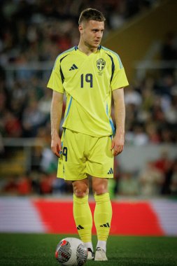 Portekiz ve İsveç milli takımları Estadio Dom Afonso Henriques, Guimaraes, Portekiz milli takımı arasında oynanan uluslararası maçta Mattias Svanberg. (Maciej Rogowski)