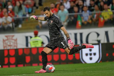 x, Portekiz ve İsveç milli takımları arasında oynanan dostça uluslararası maç sırasında, Estadio Dom Afonso Henriques, Guimaraes, Portekiz. (Maciej Rogowski)