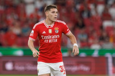 Benjamin Rollheiser, Portekiz 'deki Liga Portekiz maçında SL Benfica ve Moreirense FC arasında attığı golü kutlar. (Maciej Rogowski)