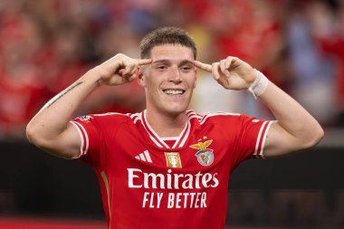 Benjamin Rollheiser, Portekiz 'deki Liga Portekiz maçında SL Benfica ve Moreirense FC arasında attığı golü kutlar. (Maciej Rogowski)