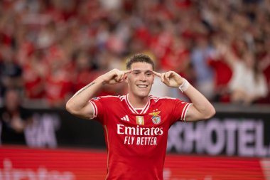 Benjamin Rollheiser, Portekiz 'deki Liga Portekiz maçında SL Benfica ve Moreirense FC arasında attığı golü kutlar. (Maciej Rogowski)