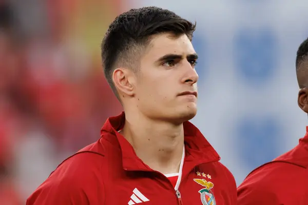 Antonio Silva UEFA Avrupa Ligi maçında SL Benfica ve Olympique de Marseille arasında Estadio Da Luz, Lizbon, Portekiz 'de oynandı. (Maciej Rogowski)