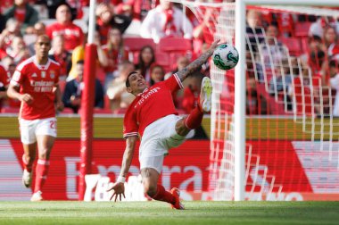Portekiz Ligi maçında SL Benfica ve SC Braga arasında Estadio Da Luz, Lizbon 'da oynanan Angel Di Maria maçı sırasında. (Maciej Rogowski)