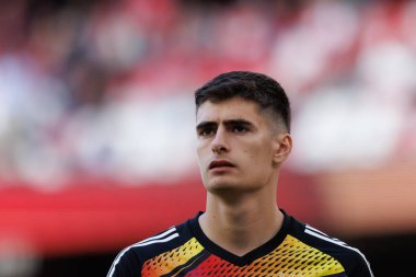 Portekiz Ligi maçında Antonio Silva SL Benfica ve SC Braga arasında Estadio Da Luz, Lizbon, Portekiz 'de oynandı. (Maciej Rogowski)