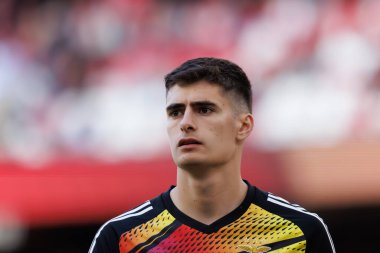 Portekiz Ligi maçında Antonio Silva SL Benfica ve SC Braga arasında Estadio Da Luz, Lizbon, Portekiz 'de oynandı. (Maciej Rogowski)