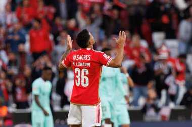 Portekiz 'in Lizbon şehrinde Estadio Da Luz' da oynayan SL Benfica ile SC Braga arasında oynanan Liga Portekiz maçında gol atan Marcos Leonardo. (Maciej Rogowski)