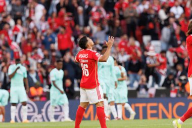 Portekiz 'in Lizbon şehrinde Estadio Da Luz' da oynayan SL Benfica ile SC Braga arasında oynanan Liga Portekiz maçında gol atan Marcos Leonardo. (Maciej Rogowski)
