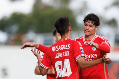 Joao Rego celebrates after scoring goal during Liga Portugal 2  game between SL Benfica B and Pacos De Ferreira at Benfica Campus, Seixal, Lisbon, Portugal. (Maciej Rogowski) clipart