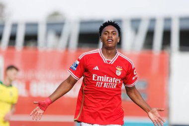 Caue, Liga Portekiz 2 maçında SL Benfica B ve Pacos De Ferreira ile oynadığı Benfica Campus, Seixal, Lizbon, Portekiz maçında gol attıktan sonra bunu kutlar. (Maciej Rogowski)