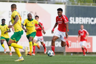 Liga Portekiz 2 maçında SL Benfica B ve Pacos De Ferreira arasında Benfica Campus, Seixal, Lizbon, Portekiz 'de oynandı. (Maciej Rogowski)