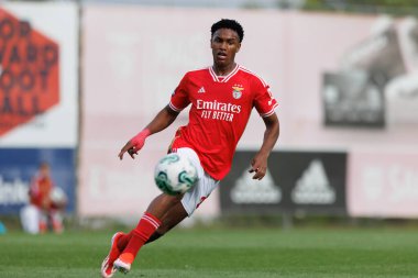 Liga Portekiz 2 maçında SL Benfica B ve Pacos De Ferreira arasında Benfica Campus, Seixal, Lizbon, Portekiz 'de oynandı. (Maciej Rogowski)
