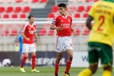 Joao Rego, Liga Portekiz 2 maçında SL Benfica B ve Pacos De Ferreira arasında Benfica Campus, Seixal, Lizbon, Portekiz 'de oynandı. (Maciej Rogowski)