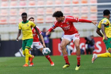 Liga Portekiz 2 maçında Rafael Luis Benfica B ve Pacos De Ferreira arasında Benfica Campus, Seixal, Lizbon, Portekiz 'de oynandı. (Maciej Rogowski)