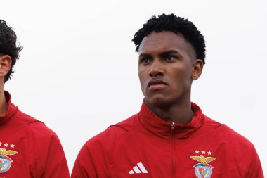 Liga Portekiz 2 maçında SL Benfica B ve Pacos De Ferreira arasında Benfica Campus, Seixal, Lizbon, Portekiz 'de oynandı. (Maciej Rogowski)