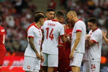 Polonya ve Türkiye milli takımları arasında oynanan PGE Narodowy, Varşova, Polonya (Maciej Rogowski)