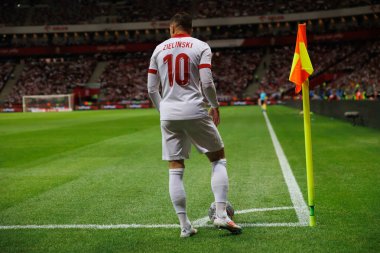 Polonya ve Türkiye milli takımları arasındaki PGE Narodowy, Varşova, Polonya (Maciej Rogowski) maçında Piotr Zielinski)