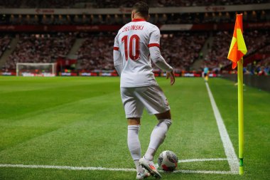 Polonya ve Türkiye milli takımları arasındaki PGE Narodowy, Varşova, Polonya (Maciej Rogowski) maçında Piotr Zielinski)