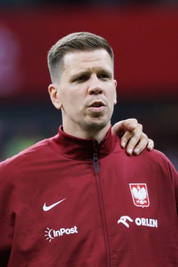 Polonya ve Türkiye milli takımları arasındaki PGE Narodowy, Varşova, Polonya (Maciej Rogowski) maçında Wojciech Szczesny)