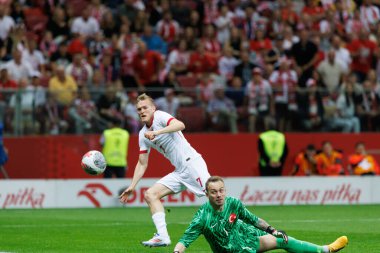 Polonya ve Türkiye milli takımları arasında PGE Narodowy, Varşova, Polonya (Maciej Rogowski) 'de oynanan dostluk maçında attığı golü Karol Swiderski kutluyor.)