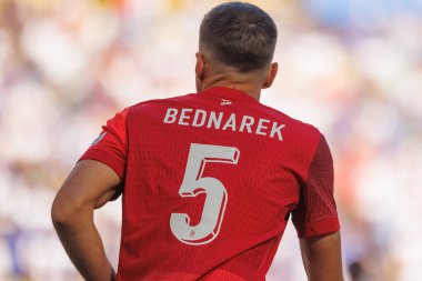 Jan Bednarek, Fransa ve Polonya milli takımları arasında Almanya 'nın Dortmund kentinde oynanan UEFA Euro 2024 maçında görüldü (Maciej Rogowski)