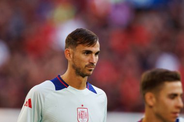 UEFA Euro 2024 maçında Arnavutluk ve İspanya milli takımları arasında Merkur Spiel-Arena, Düsseldorf, Almanya 'da görüldü (Maciej Rogowski)