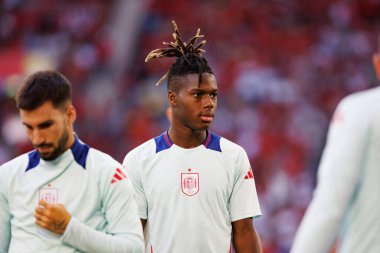 Nico Williams, UEFA Euro 2024 maçında Arnavutluk ve İspanya milli takımları arasında Merkur Spiel-Arena, Düsseldorf, Almanya 'da görüldü (Maciej Rogowski)