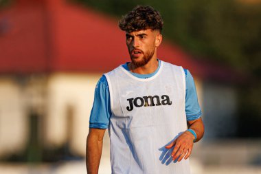 Pedro Malheiro Avrupa Ligi ikinci tur eleme maçı sırasında MFK Ruzomberok ve Trabzonspor takımları arasında Stadyum MFK Ruzomberok, Slovakya 'da (Maciej Rogowski)