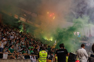 Supertaca Candido de Oliveira 2024 maçında Portekiz 'in Aveiro şehrinde bulunan Estadio Municipal de Aveiro' da oynayan Sporting taraftarları (Maciej Rogowski)