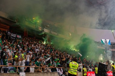 Supertaca Candido de Oliveira 2024 maçında Portekiz 'in Aveiro şehrinde bulunan Estadio Municipal de Aveiro' da oynayan Sporting taraftarları (Maciej Rogowski)