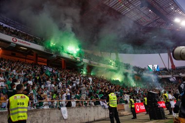 Supertaca Candido de Oliveira 2024 maçında Portekiz 'in Aveiro şehrinde bulunan Estadio Municipal de Aveiro' da oynayan Sporting taraftarları (Maciej Rogowski)