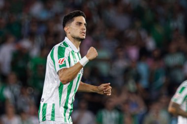 Marc Bartra, Real Betis Balompie ve Girona FC takımları arasında LaLiga EASPORTS maçında attığı golün ardından Estadio Benito Villamarin 'de (Maciej Rogowski)