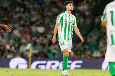 Estadio Benito Villamarin 'de Real Betis Balompie ve Girona FC takımları arasında oynanan LaLiga EASPORTS maçı sırasında Johnny (Maciej Rogowski)