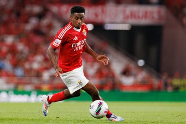 Leandro Barreiro, Liga Portekiz maçı sırasında Estadio Da Luz 'da SL Benfica ve Casa Pia AC takımları arasında görüldü (Maciej Rogowski)