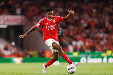 Leandro Barreiro, Liga Portekiz maçı sırasında Estadio Da Luz 'da SL Benfica ve Casa Pia AC takımları arasında görüldü (Maciej Rogowski)
