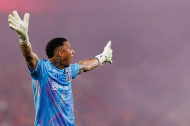 Patrick Sequeira, Liga Portekiz maçı sırasında Estadio Da Luz 'da SL Benfica ve Casa Pia AC takımları arasında görüldü (Maciej Rogowski)