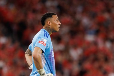 Patrick Sequeira, Liga Portekiz maçı sırasında Estadio Da Luz 'da SL Benfica ve Casa Pia AC takımları arasında görüldü (Maciej Rogowski)