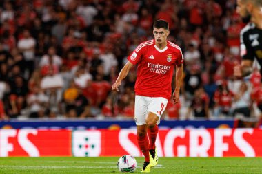 Antonio Silva, Liga Portekiz maçı sırasında Estadio Da Luz 'da SL Benfica ve Casa Pia AC takımları arasında görüldü (Maciej Rogowski)
