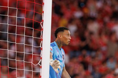 Patrick Sequeira, Liga Portekiz maçı sırasında Estadio Da Luz 'da SL Benfica ve Casa Pia AC takımları arasında görüldü (Maciej Rogowski)