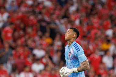 Patrick Sequeira, Liga Portekiz maçı sırasında Estadio Da Luz 'da SL Benfica ve Casa Pia AC takımları arasında görüldü (Maciej Rogowski)