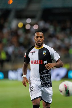 Estadio Algarve 'deki SC Farense ve Sporting CP takımları arasında oynanan Liga Portekiz maçı sırasında görülen Talys (Maciej Rogowski)