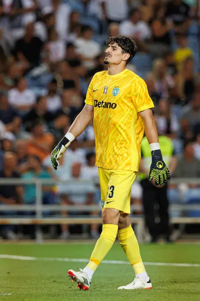 stock image Vladan Kovacevic seen in action  during Liga Portugal game between teams of SC Farense and  Sporting CP at Estadio Algarve  (Maciej Rogowski)