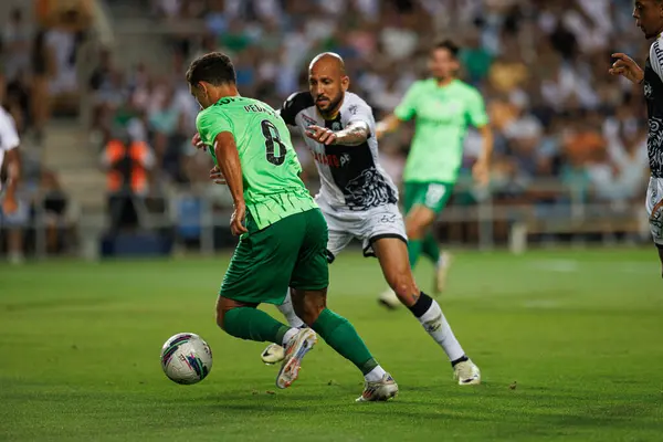 stock image Pedro Goncalves, Neto seen in action  during Liga Portugal game between teams of SC Farense and  Sporting CP at Estadio Algarve  (Maciej Rogowski)