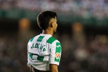 Estadio Nuevo Arcangel 'deki Cordoba CF ve Burgos CF takımları arasında LaLiga 2 Hypermotion maçı sırasında görülen Adilson (Maciej Rogowski)